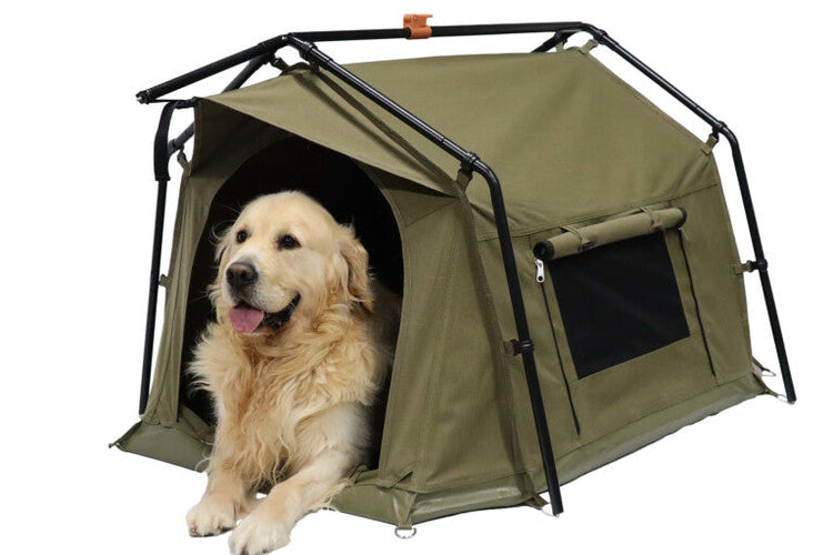 Pet Travel & Outdoor Gear 🚗